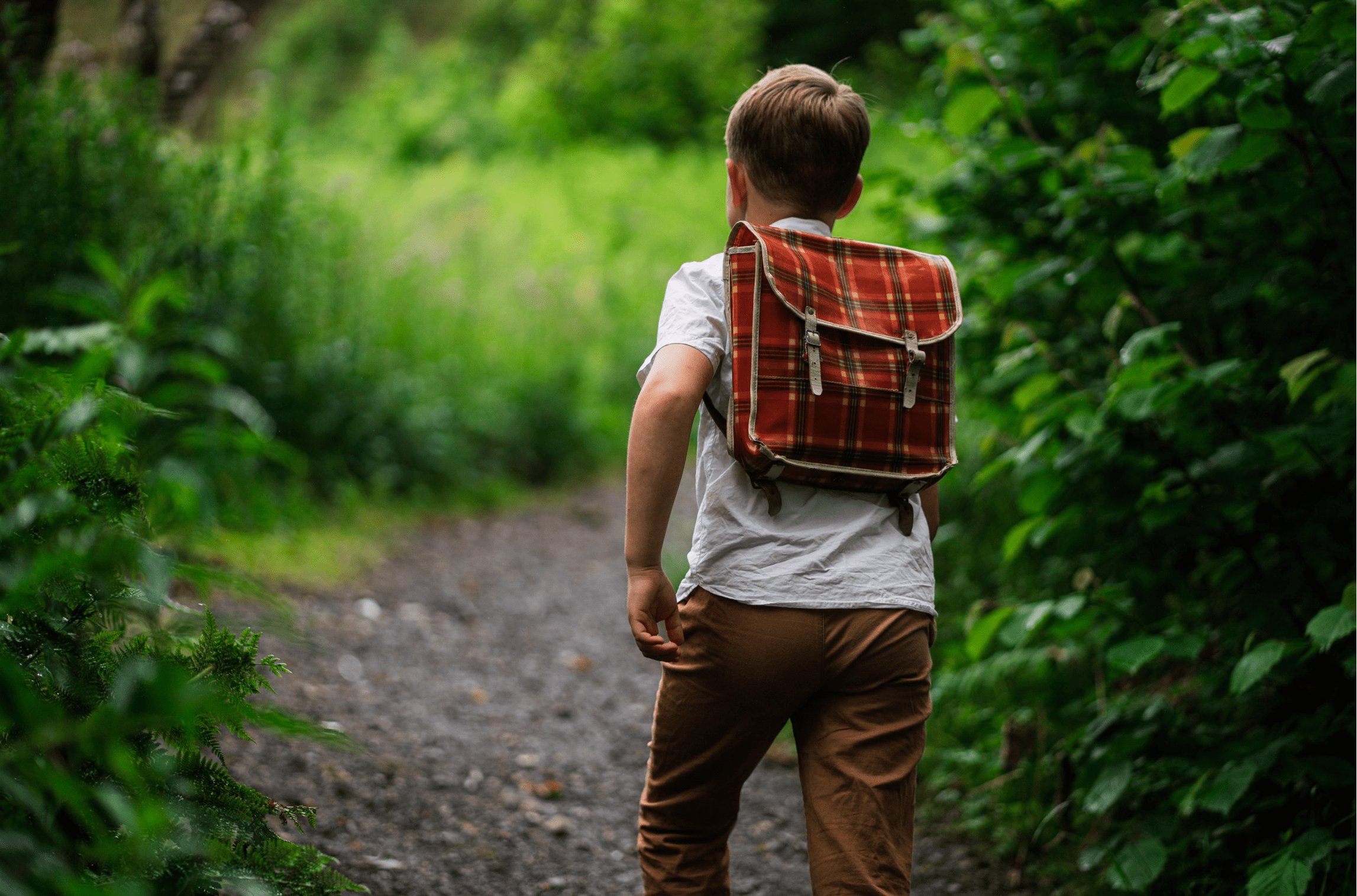 Artikkelbilde til artikkelen På skuleveg - over stokk og stein